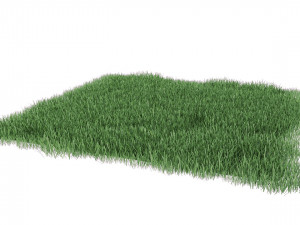 realistic lawn grass for your projects 3D Модель