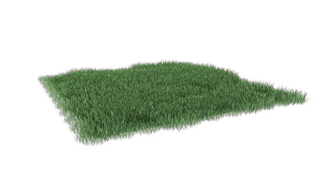 realistic lawn grass for your projects 3D Модель .c4d .max .obj .3ds .fbx .stl .blend 