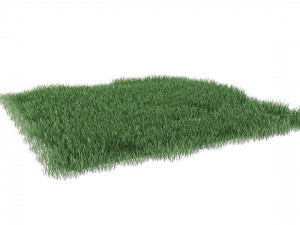 realistic lawn grass for your projects Modelo 3D