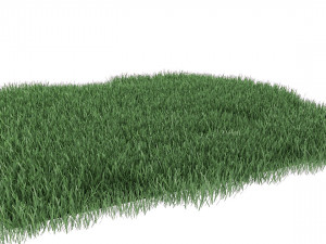 realistic lawn grass for your projects 3D Модель
