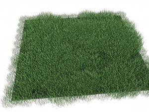 realistic lawn grass for your projects 3D Модель