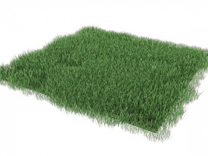 realistic lawn grass for your projects 3D Модель