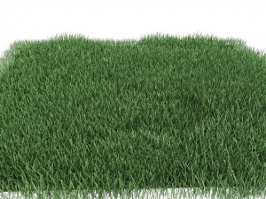 realistic lawn grass for your projects 3D Модель
