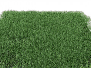 realistic lawn grass for your projects 3D Модель
