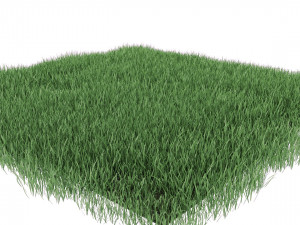 realistic lawn grass for your projects 3D Модель