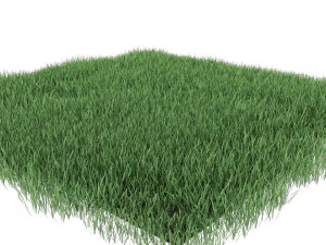 realistic lawn grass for your projects 3D Model