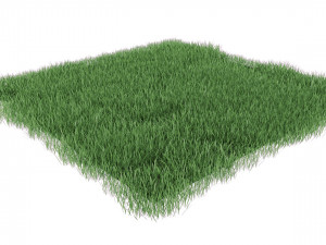 realistic lawn grass for your projects 3D Модель