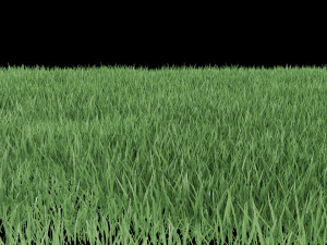 realistic lawn grass for your projects 3D Модель