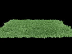 realistic lawn grass for your projects 3D Model