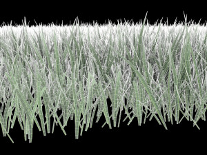 realistic lawn grass for your projects 3D Модель