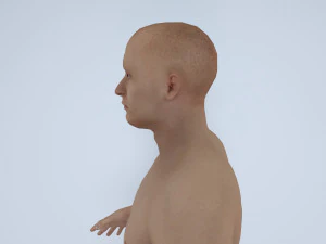realistic male with rigging low-poly 3D Model