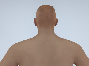realistic male with rigging low-poly 3D Model