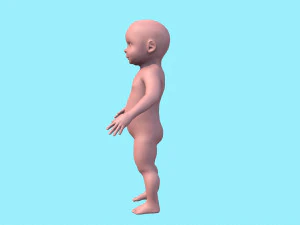 model child with a low and high polygonal grid 3D Model