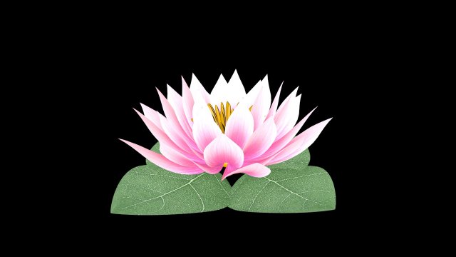 water lily low-poly Modèle 3D .c4d .max .obj .3ds .fbx .stl .blend 