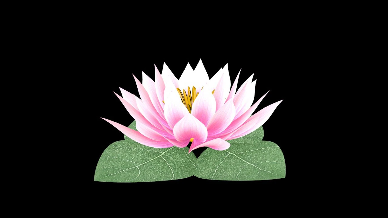 water lily low-poly 3D Model .c4d .max .obj .3ds .fbx .stl .blend