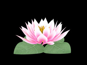 water lily low-poly 3D Model