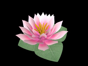 water lily low-poly Modèle 3D