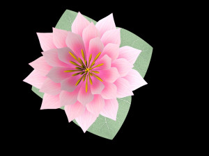 water lily low-poly Modèle 3D