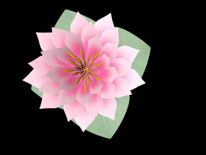 water lily low-poly 3D Model