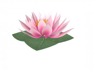 water lily low-poly Modèle 3D