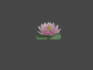 water lily low-poly Modèle 3D