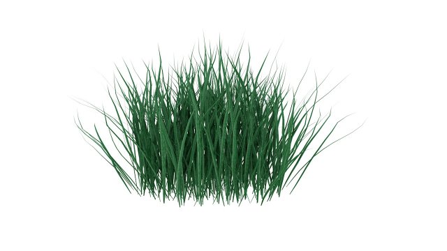 real grass 3D Модель .c4d .max .obj .3ds .fbx .stl .blend 