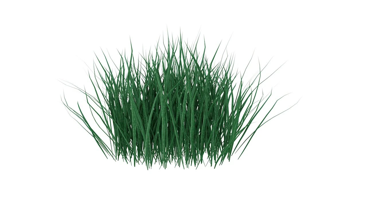 real grass 3D Model .c4d .max .obj .3ds .fbx .stl .blend 