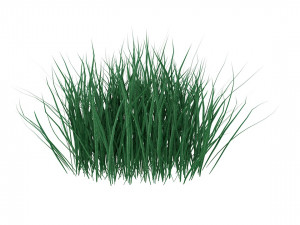 real grass 3D Models