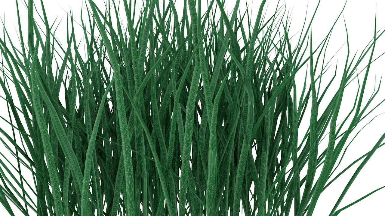 Трава 3l. Трава анимация. Buy grass 3d model. Grass 3d. Grass 3d модель.