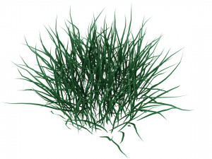 real grass 3D Модель