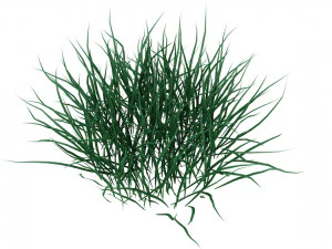 real grass 3D Model