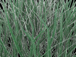 real grass 3D Model