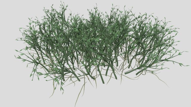 highly detailed of grass Modèle 3D .c4d .max .obj .3ds .fbx .stl .blend 