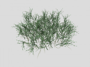highly detailed of grass Modèle 3D
