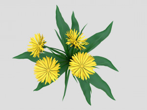 dandelion yellow low-poly 3D 모델
