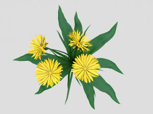 paardenbloem geel low-poly 3D Model