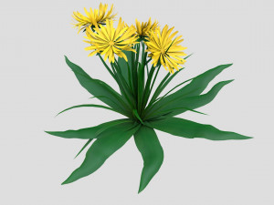 dandelion yellow low-poly Model 3D