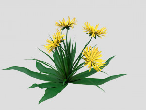 dandelion yellow low-poly Model 3D