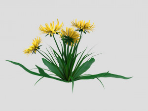 dandelion yellow low-poly Model 3D