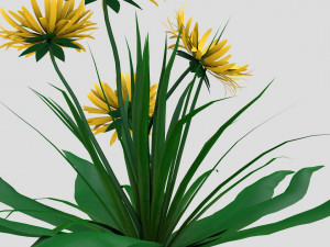 dandelion yellow low-poly Model 3D
