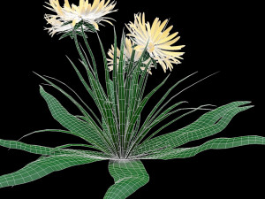 dandelion yellow low-poly Model 3D