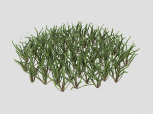 grass 3D 모델