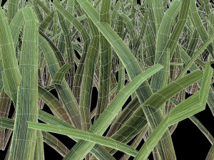 grass 3D 모델
