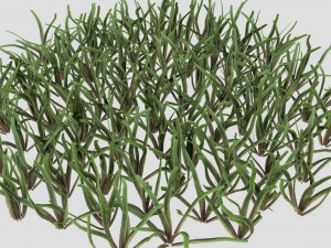 grass 3D 모델