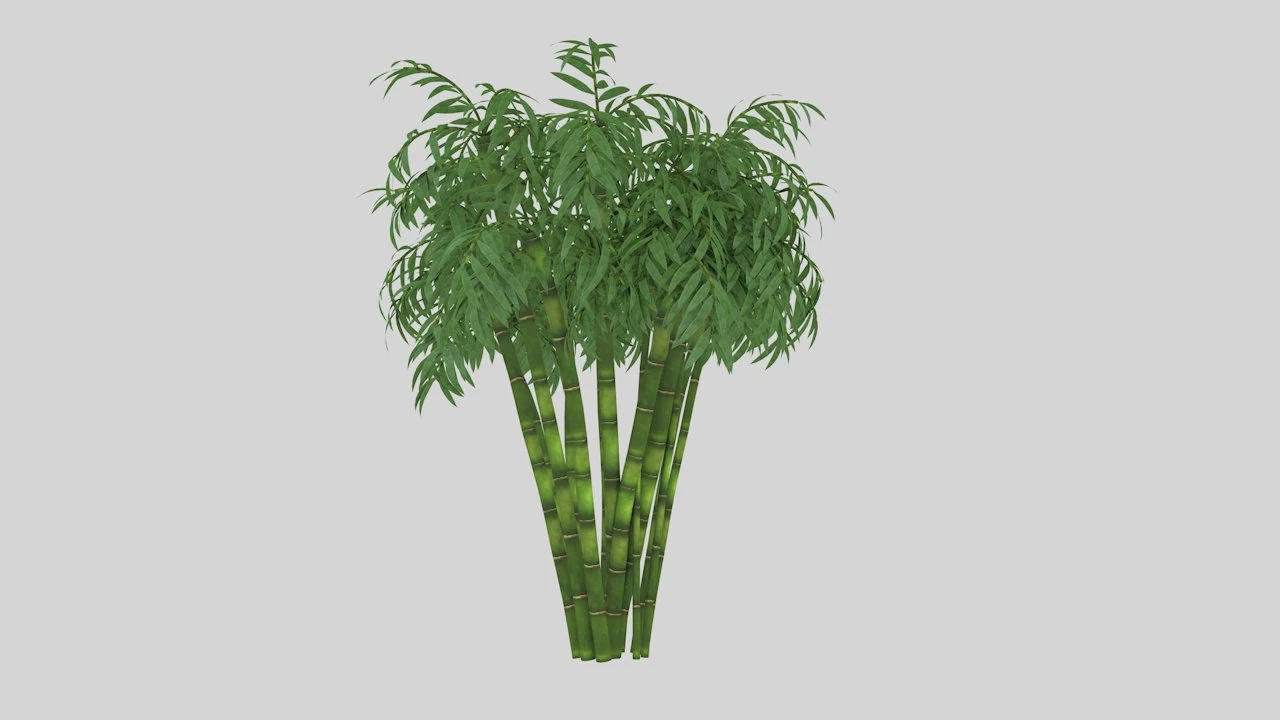 bamboo low-poly 3D Model .c4d .max .obj .3ds .fbx .stl .blend