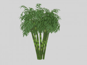bamboo low-poly 3D 모델