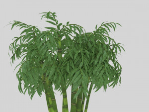 bamboo low-poly 3Dモデル