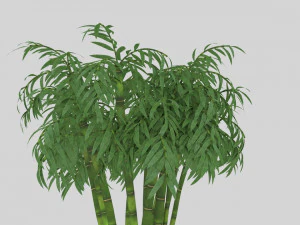 bamboo low-poly 3D Model