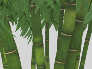 bamboo low-poly 3D Model