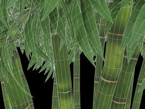 bamboo low-poly 3D Model
